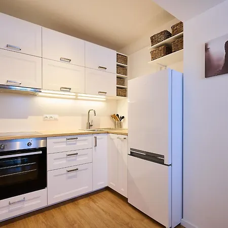 Haslerka By Interhome Apartment Janov nad Nisou